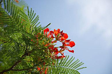 《最终幻想7：重生》中将首次添加游泳功能